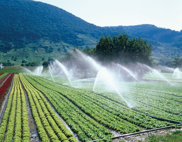agua agricultura