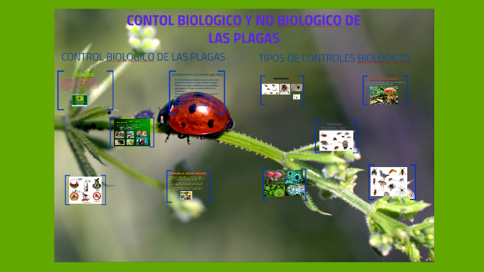 control biologico