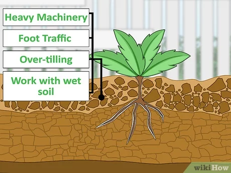 3 estrategias para prevenir la compactacion en suelos arenosos