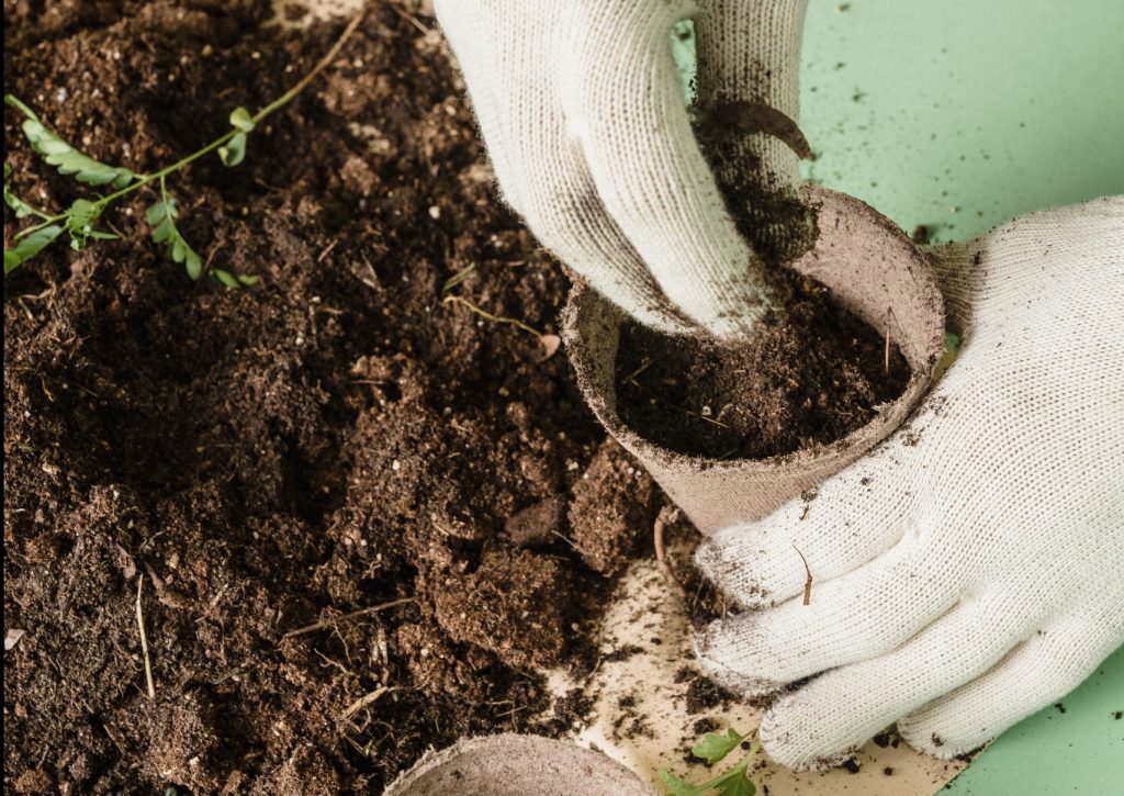 3 ideas para aumentar la materia organica en suelos arenosos