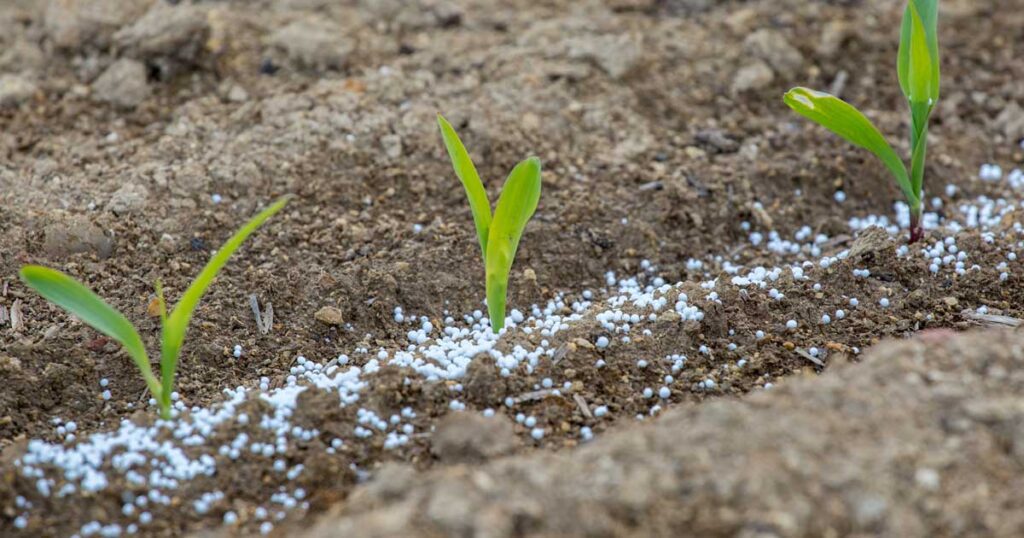3 practicas recomendadas para la fertilizacion de suelos arenosos
