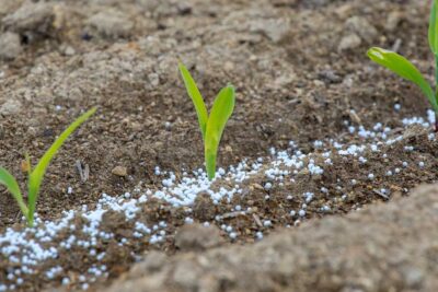 3 practicas recomendadas para la fertilizacion de suelos arenosos