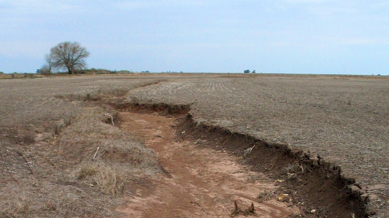 3 tecnicas para combatir la erosion en suelos arenosos