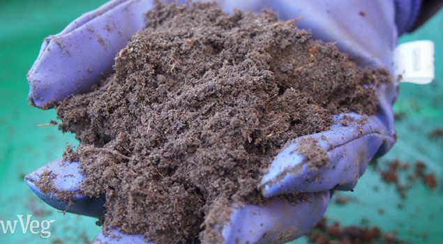 5 secretos sobre como mejorar la estructura de un suelo arenoso