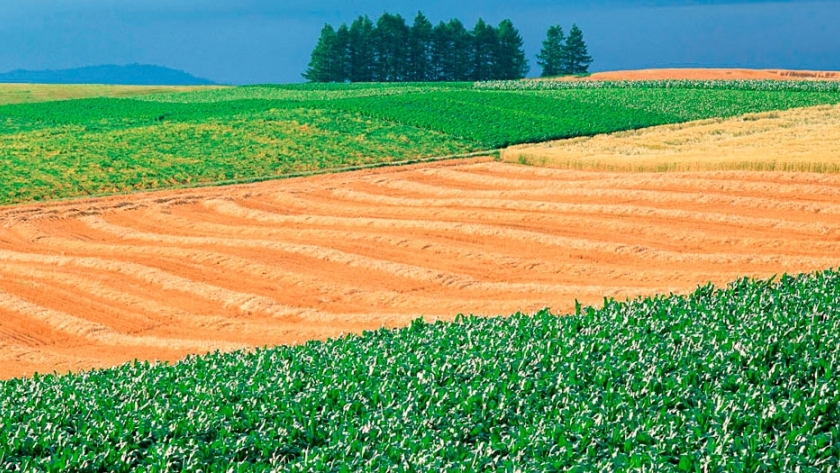 por que es importante la rotacion de cultivos en suelos arenosos