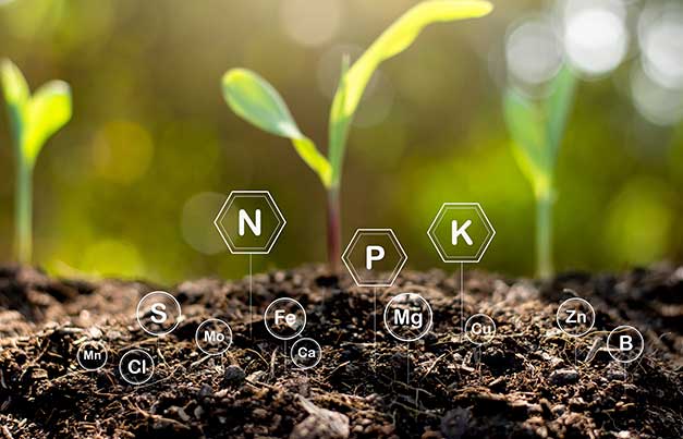 3 estrategias para solucionar problemas de deficiencia de nutrientes con fertilizantes foliares