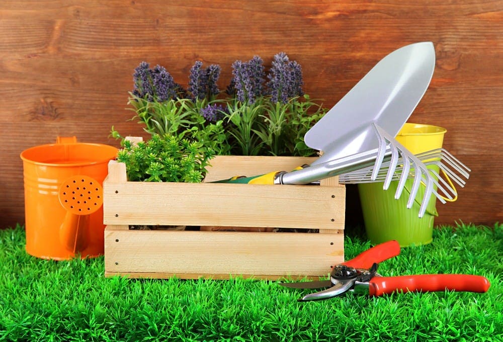 3 herramientas esenciales para el cuidado de plantas perennes