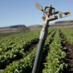 3 Ideas Innovadoras Para Aumentar La Eficiencia En La Agricultura De Subsistencia
