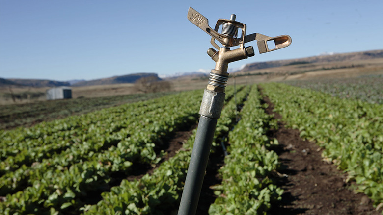 3 ideas innovadoras para aumentar la eficiencia en la agricultura de subsistencia