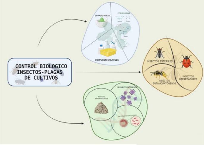 3 metodos para evaluar el impacto del control biologico en el manejo de plagas