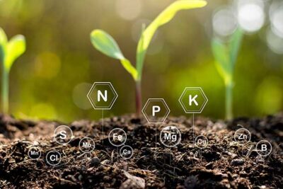 3 practicas para prevenir la toxicidad de nutrientes al usar fertilizantes foliares