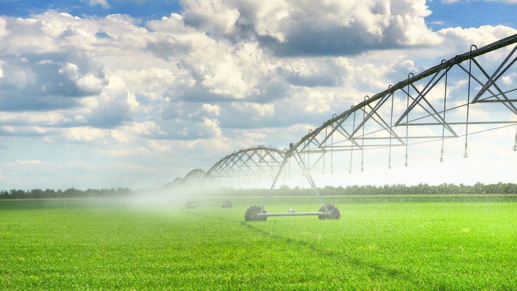 3 tecnicas para optimizar el uso del agua en la agricultura de subsistencia