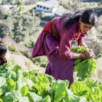 4 Habilidades Clave Para Tener éxito En La Agricultura De Subsistencia