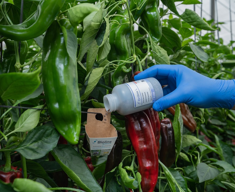 5 secretos para mejorar el exito del control biologico en la agricultura