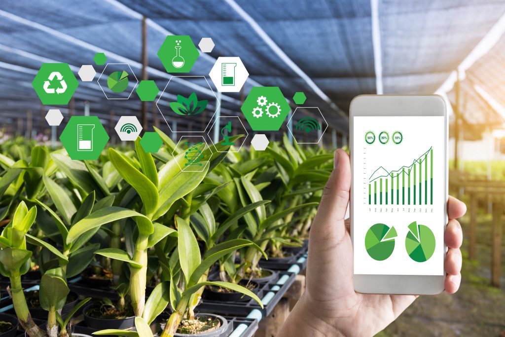 5 ventajas de implementar sistemas de almacenamiento inteligentes en la agricultura