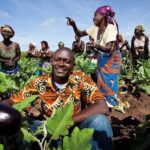 5 Ventajas De Practicar La Agricultura De Subsistencia En Zonas Rurales