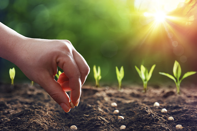 5 ventajas de utilizar fertilizantes foliares en la agricultura sostenible