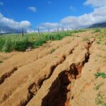 6 Consejos Para Reducir La Erosión Del Suelo En La Agricultura De Subsistencia