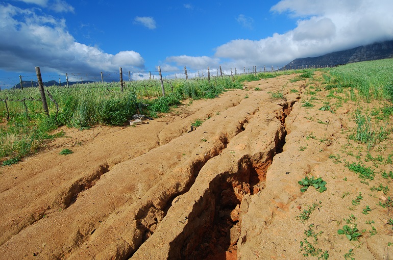 6 consejos para reducir la erosion del suelo en la agricultura de subsistencia