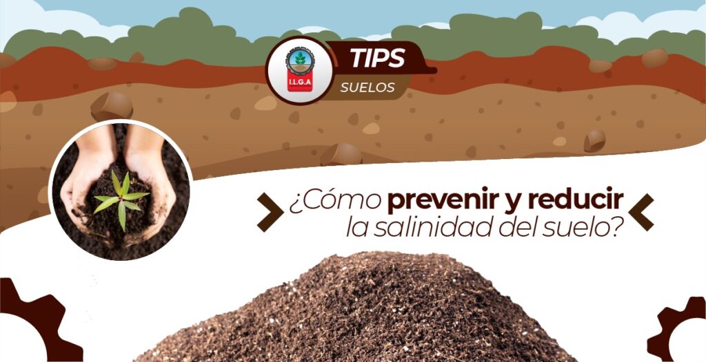 6 tecnicas para prevenir la salinizacion del suelo en la agricultura de temporal