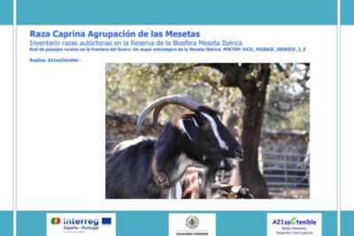 7 medidas para promover la biodiversidad en la produccion de ganado caprino