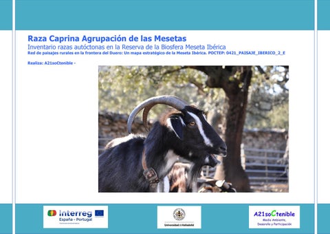 7 medidas para promover la biodiversidad en la produccion de ganado caprino