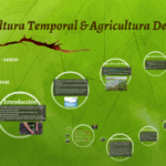 Diferencias Entre La Agricultura De Temporal Y La Agricultura De Riego