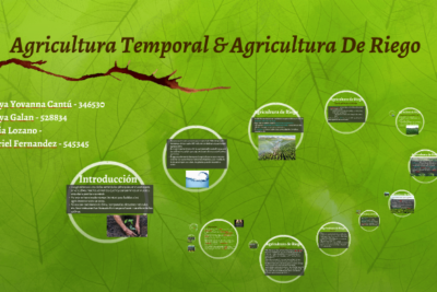 diferencias entre la agricultura de temporal y la agricultura de riego
