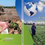Diferencias Entre Sistemas De Almacenamiento A Pequeña Y Gran Escala En La Agroindustria
