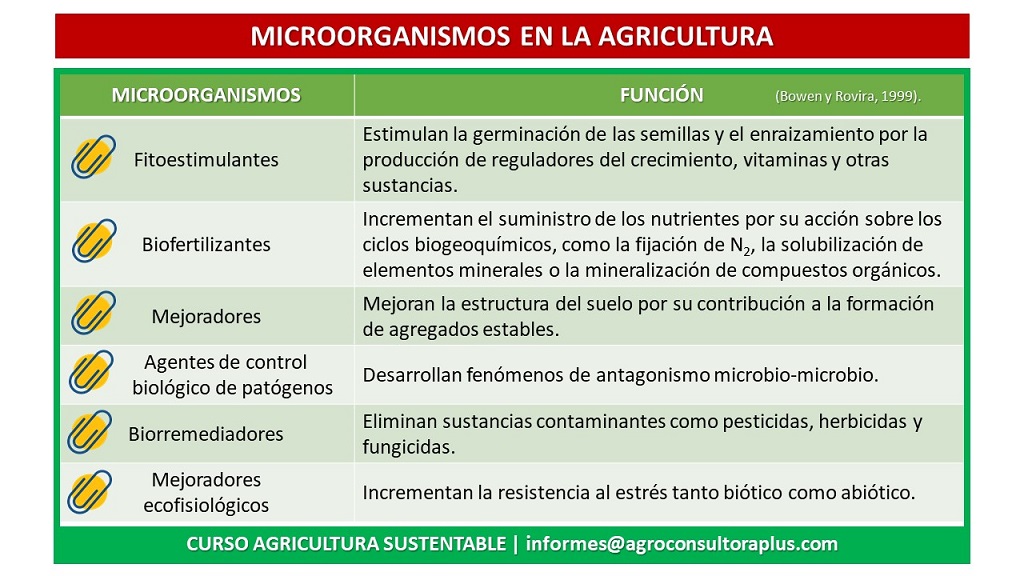 por que las fitohormonas son importantes en la agricultura sostenible