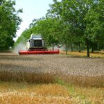 Diferencias En La Gestión De Recursos Entre Agricultura Convencional Y Agroecológica