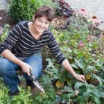 5 Trucos Para Mantener La Sanidad Vegetal En Tu Huerto O Jardín