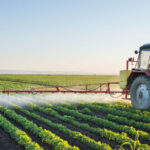 5 Secretos Para Reducir Costos En La Producción Agrícola Convencional