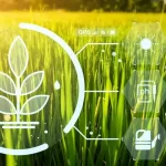 4 Claves Para Un Programa De Sanidad Vegetal Exitoso En La Producción Agrícola