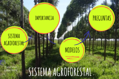sistema agroforestal