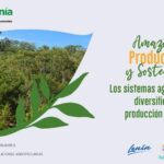 6 Consejos Para Gestionar Y Mantener La Biodiversidad En Sistemas Agroforestales