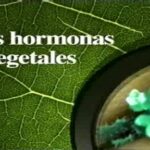 3 Métodos Para El Análisis De Hormonas Vegetales En Muestras Vegetales