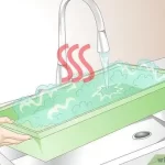 Cómo y cuándo bañar a tu hámster de forma segura