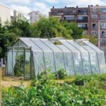 Creando un jardín sostenible de bajo mantenimiento