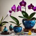 Fertilizante para Orquídeas: Cómo Elegir el Correcto